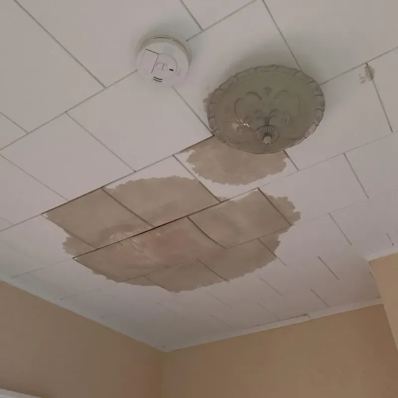 Ceiling Water Damage Repair in Mendenhall, MS