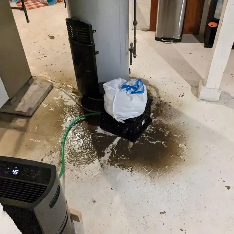 Sewage Backup Cleanup Service in Mendenhall, MS